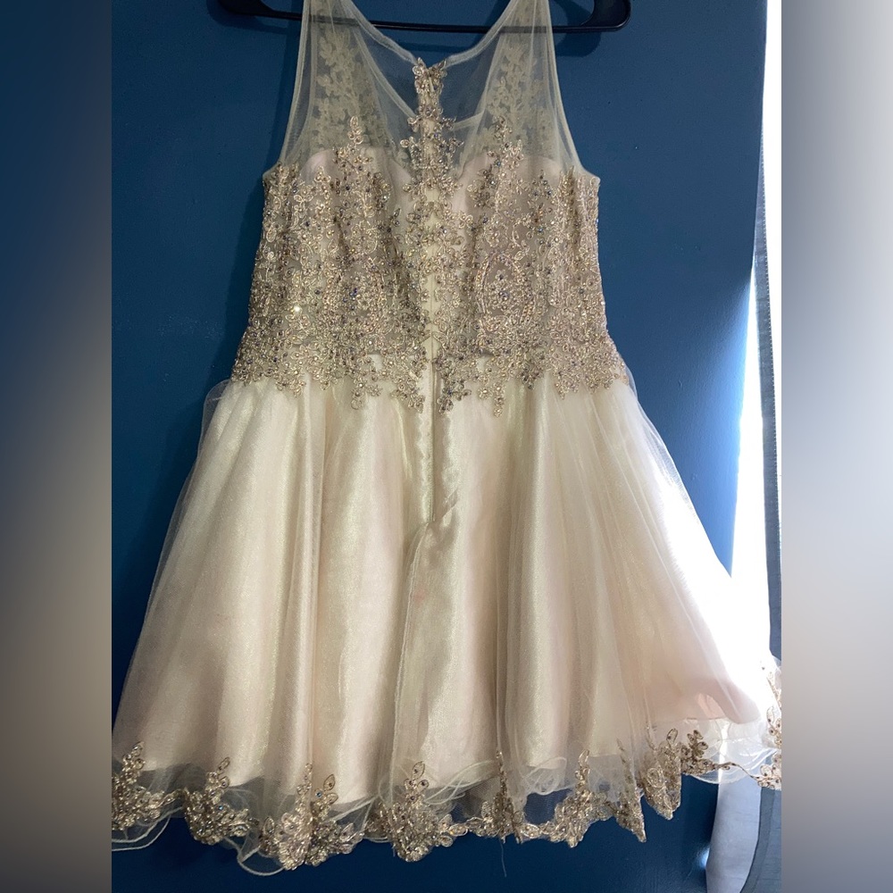 Quincenera surprise dance dress